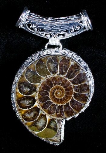 Ammonite Pendant #3595